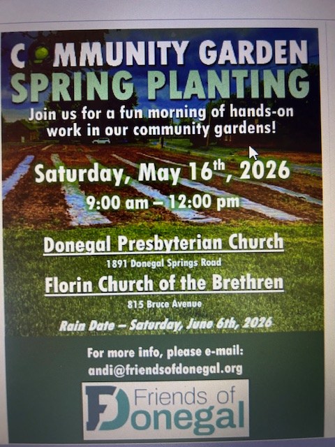 Friends of Donegal garden planting