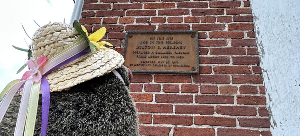 Mount Joy Minnie looking at the Milton Hershey plaque placed by the MJCOC.