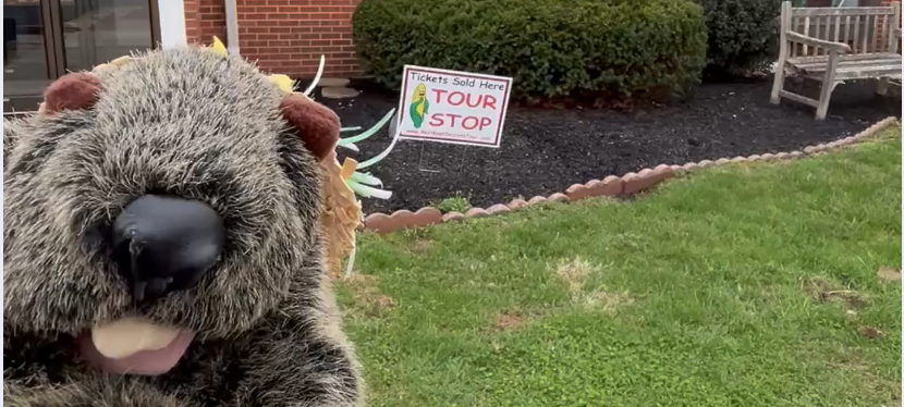 Mount Joy Minnie with Best Kept secrets tour sign