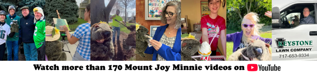 Mount Joy Minnie is on YouTube