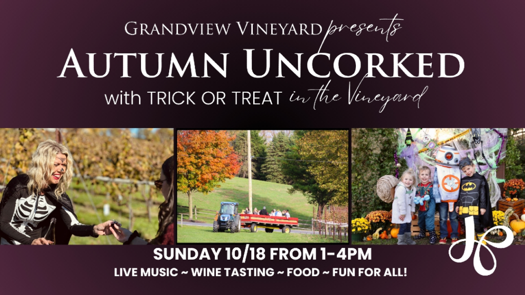 autumn uncorked picture